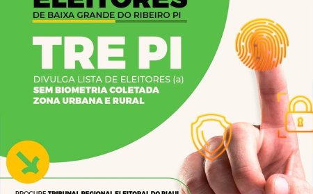 Lista Divulgada pelo TRE PI de Eleitores sem Biometria coletada, tanto na Zona Urbana quanto Zona Rural de Baixa Grande do Ribeiro.