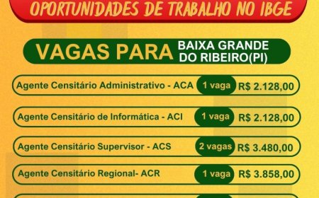 OPORTUNIDADE DE TRABALHO – IBGE